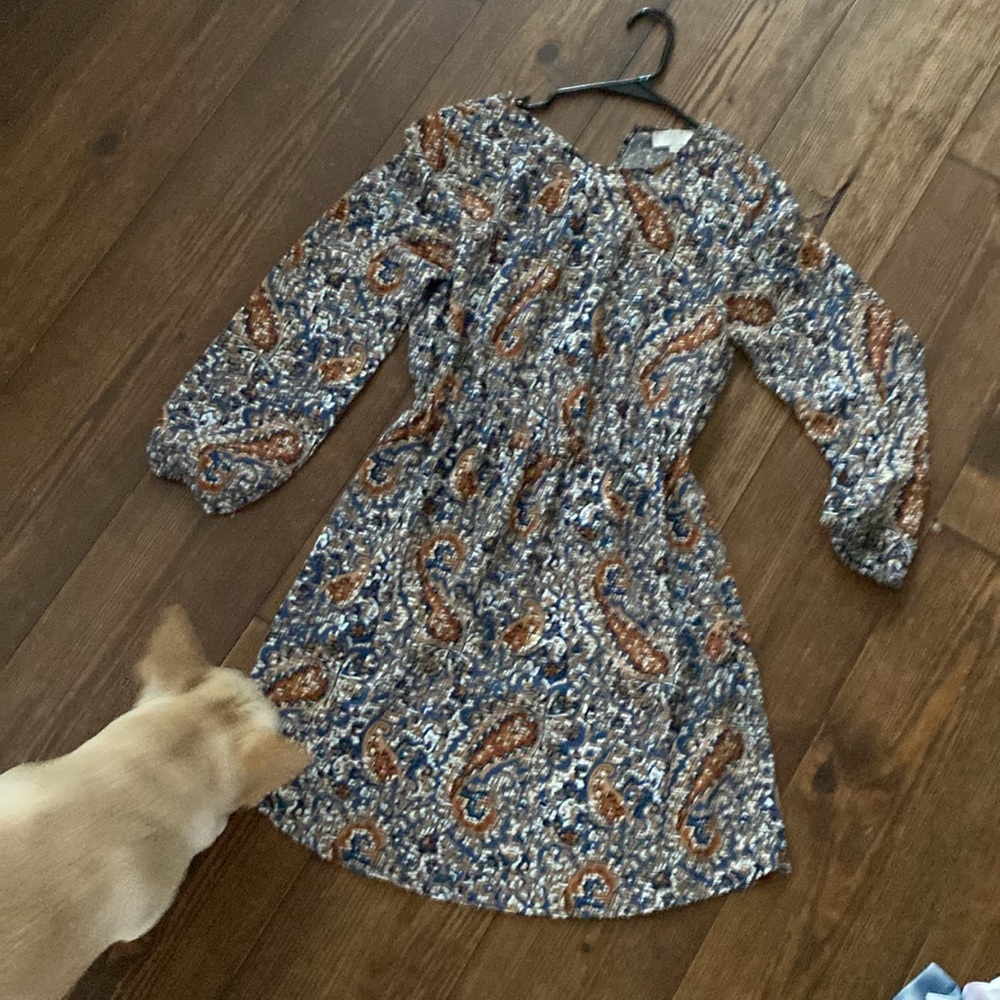 Loft  Outlet small petite, beautiful dress - Picture 5 of 7
